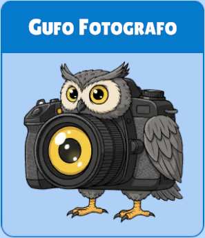 brainrot - gufo fotografo