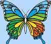 element - butterfly