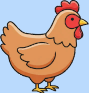 element - chicken