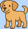 element - dog