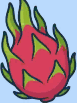 element - dragon fruit
