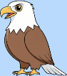 element - eagle
