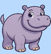element - hippo