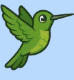 element - hummingbird