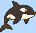 element - orca