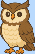 element - owl