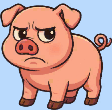 element - pig