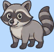 element - raccoon