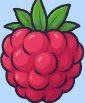element - raspberry
