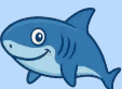 element - shark
