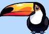 element - toucan